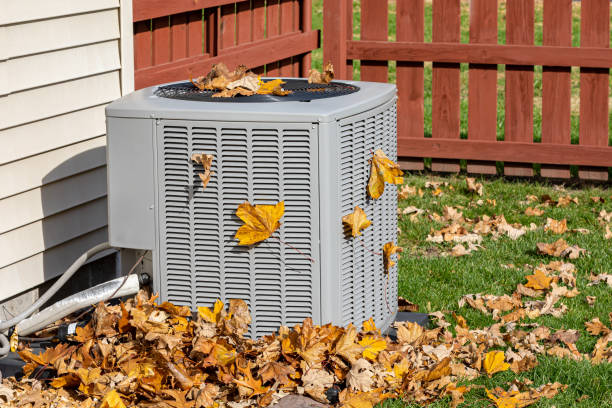 Best HVAC air duct cleaning  in Oronoco, MN