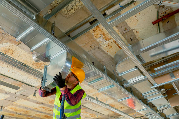 Best HVAC tune-up services  in Oronoco, MN